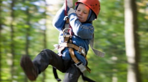 Small boy at Go Ape